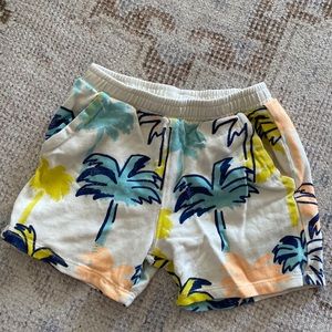 Zara Toddler Boy Shorts